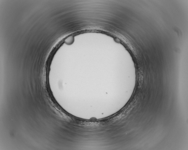 X0000110981076200907171727