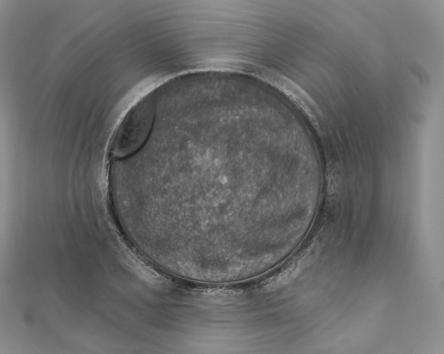 X0000110981077200907171727
