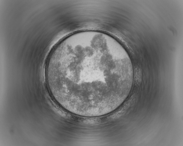 X0000110981078200907171727