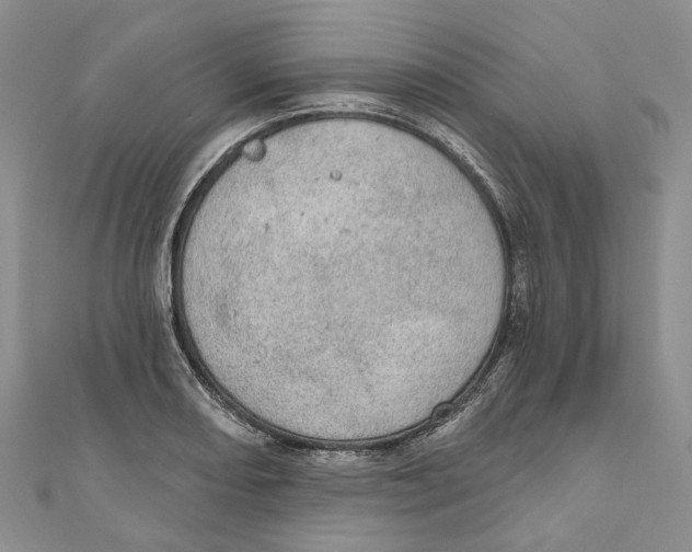 X0000110981082200907171727