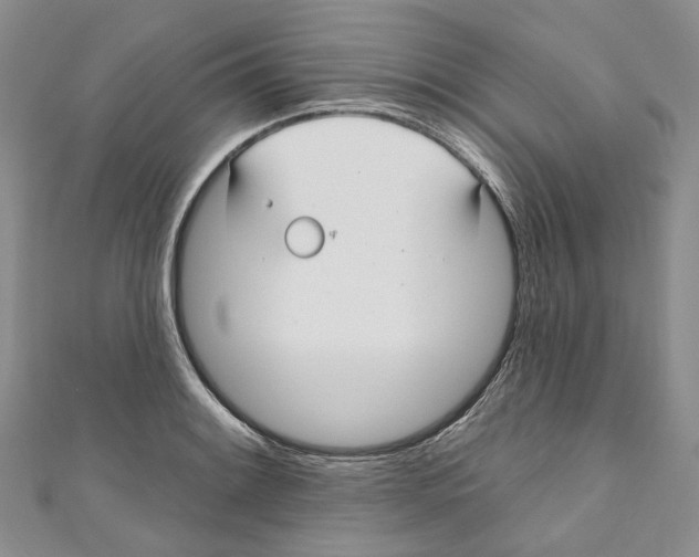 X0000110981084200907171727