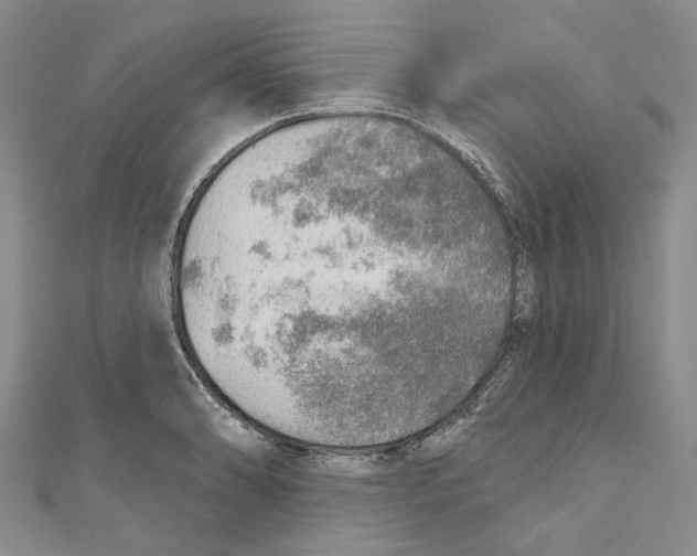 X0000110981086200907171727