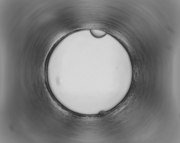 X0000110981087200907171727