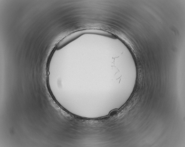 X0000110981088200907171727