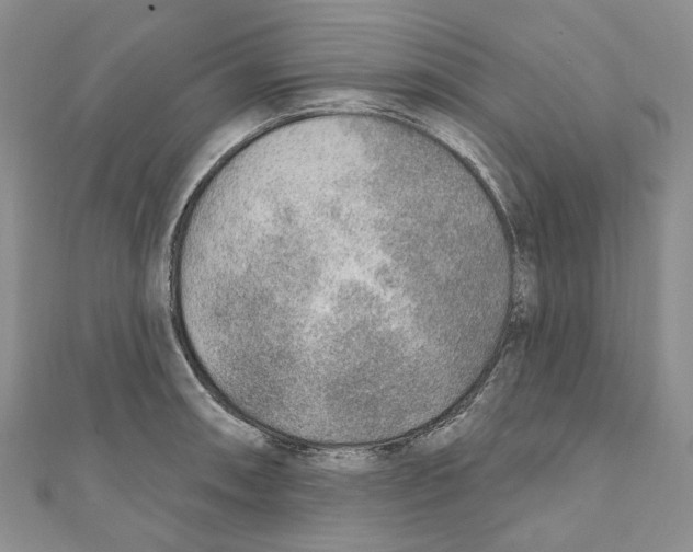 X0000110981090200907171727