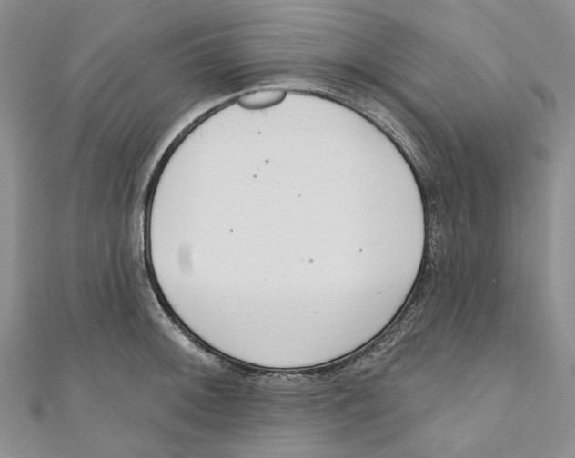 X0000110981092200907171726