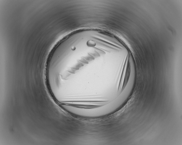 X0000110981093200907171726