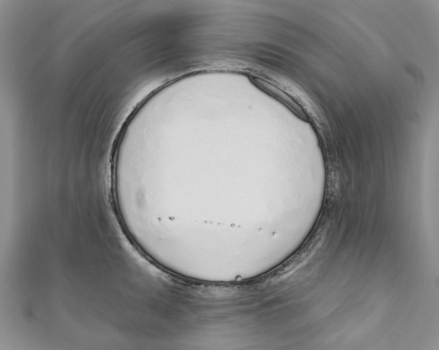 X0000110981095200907171726