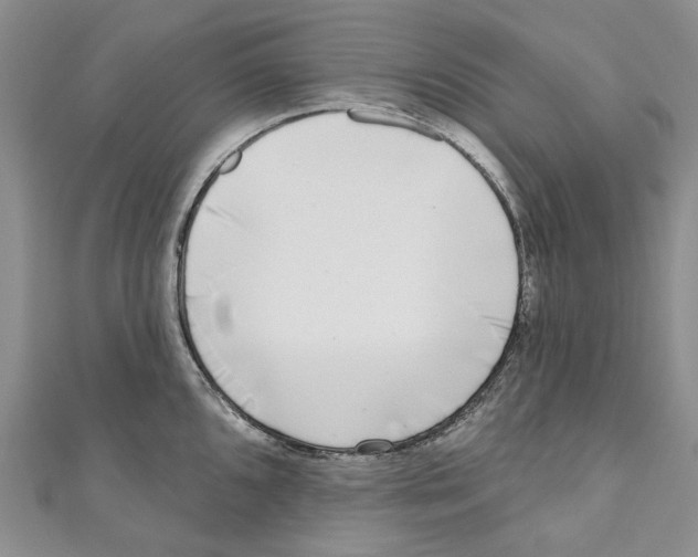 X0000110981096200907171726