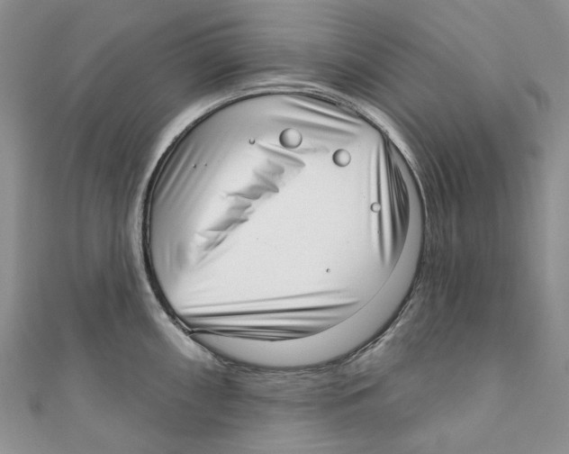 X0000110981098200907171726