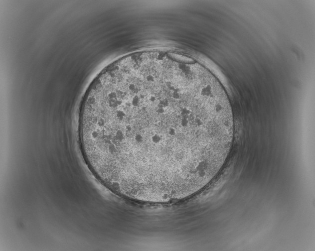 X0000110981099200907171726