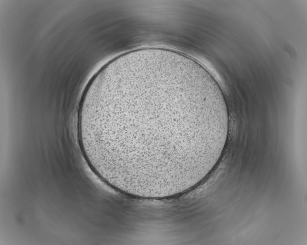 X0000110981100200907171726
