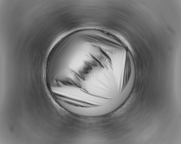 X0000110981101200907171726