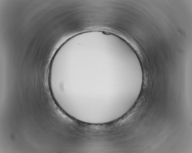 X0000110981102200907171726