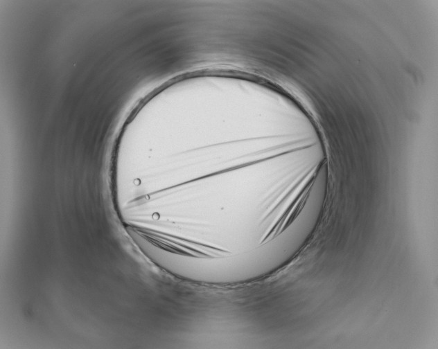 X0000110981104200907171726