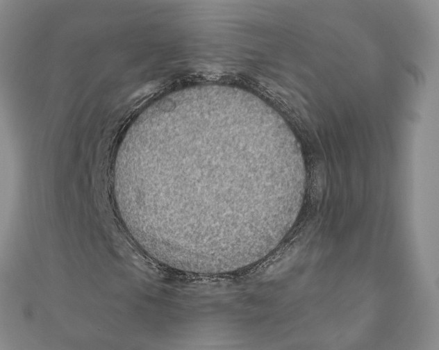 X0000110981105200907171726