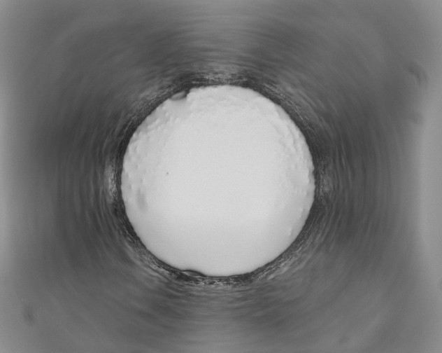X0000110981106200907171726