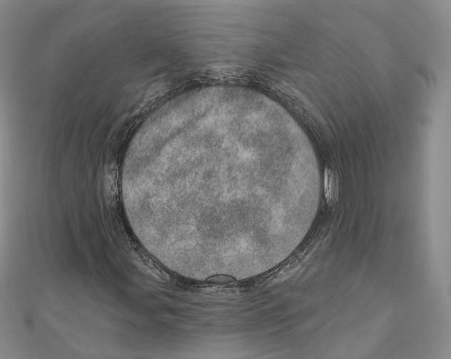 X0000110981107200907171726