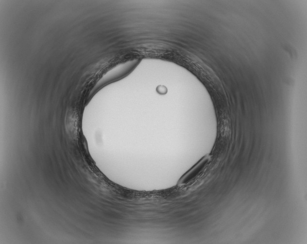 X0000110981108200907171726