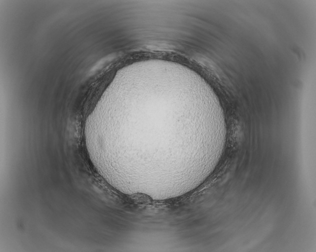 X0000110981110200907171726