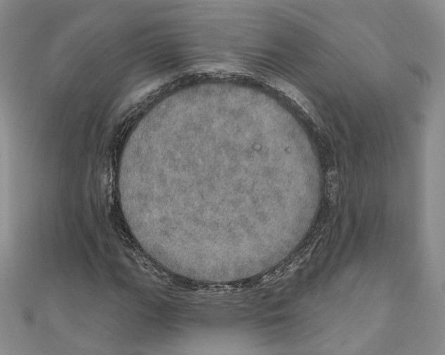 X0000110981111200907171726