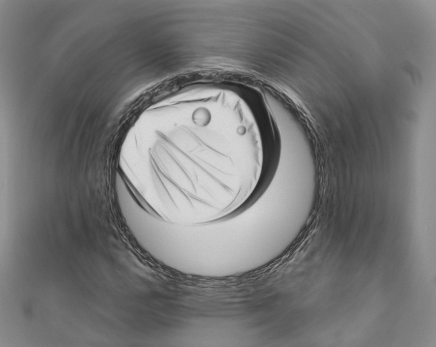 X0000110981112200907171726