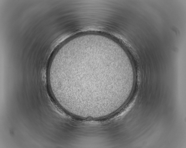 X0000110981113200907171726