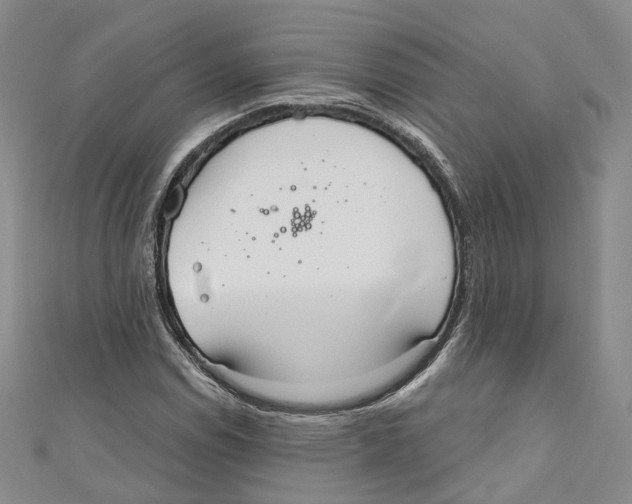 X0000110981114200907171726