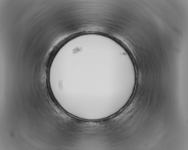 X0000110981115200907171726