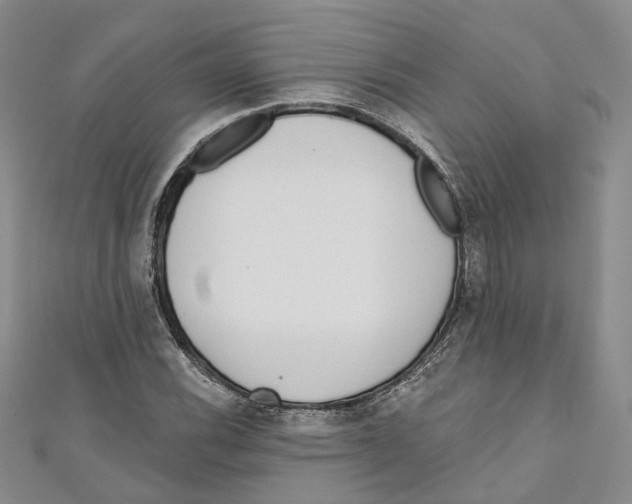 X0000110981116200907171726