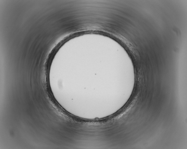 X0000110981118200907171726