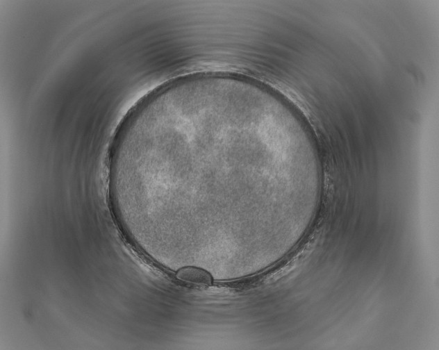 X0000110981119200907171726