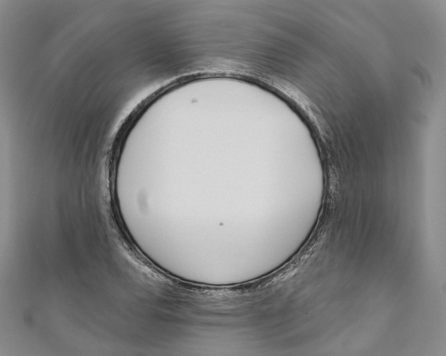 X0000110981120200907171726
