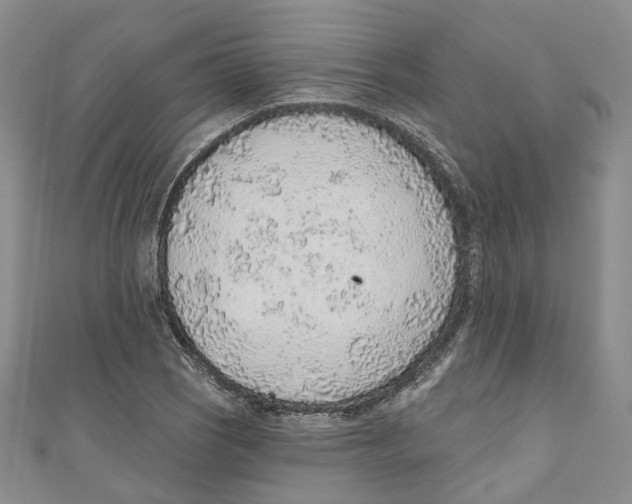 X0000110981121200907171726