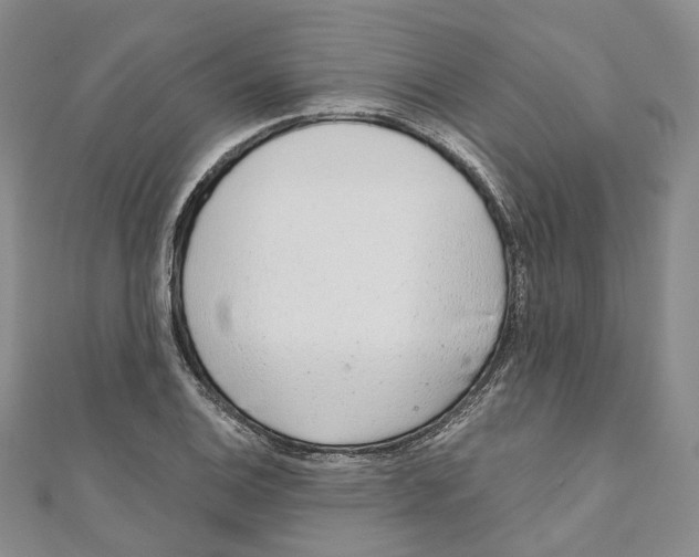X0000110981124200907171726
