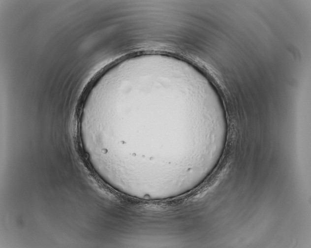 X0000110981125200907171726