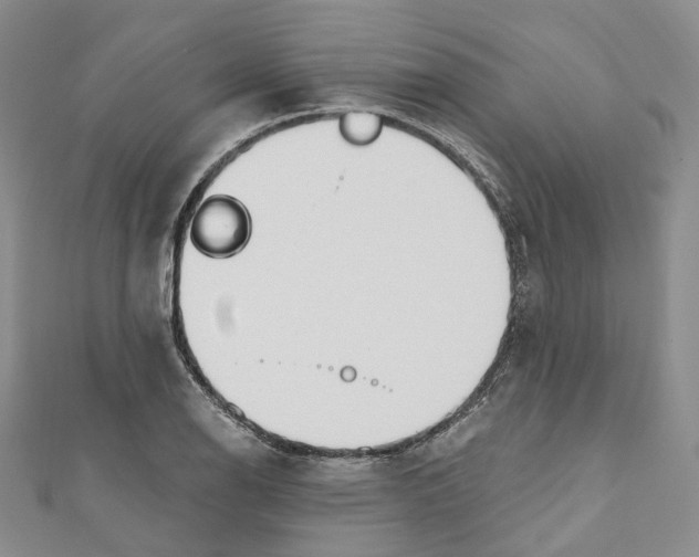 X0000110981126200907171726