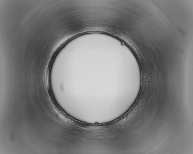 X0000110981127200907171726