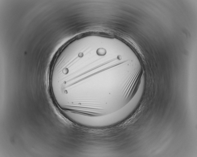 X0000110981128200907171726