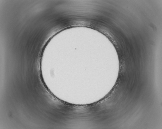 X0000110981130200907171726