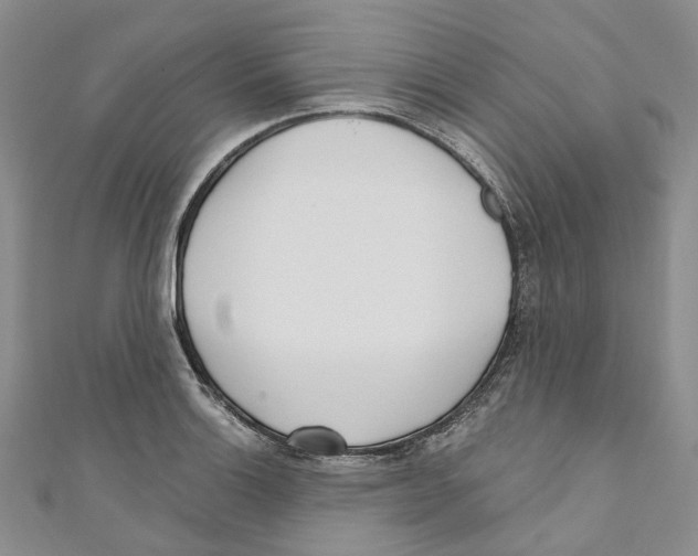 X0000110981132200907171726