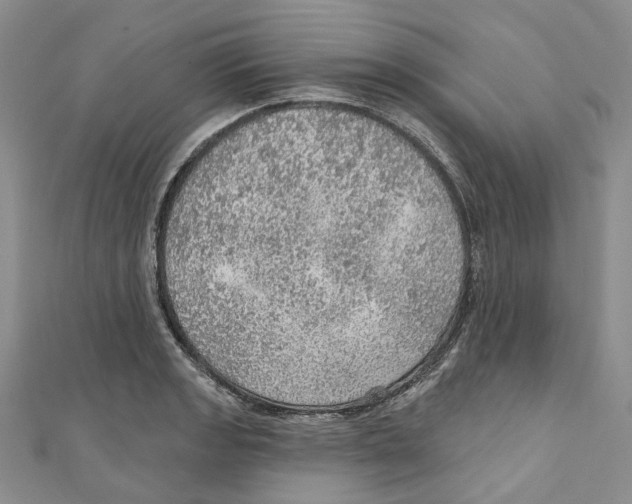 X0000110981133200907171726