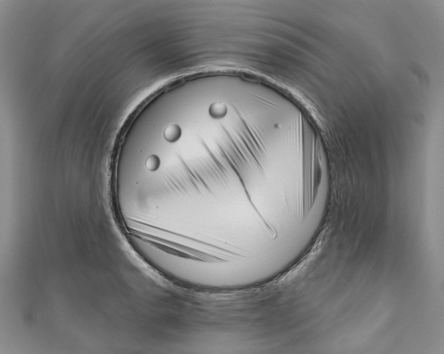 X0000110981134200907171726