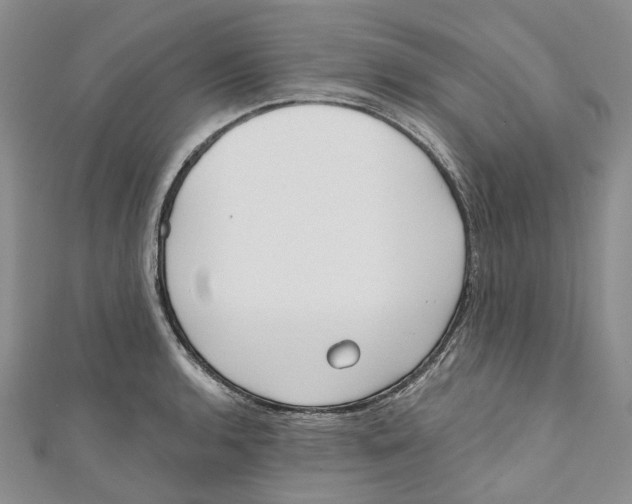 X0000110981136200907171726
