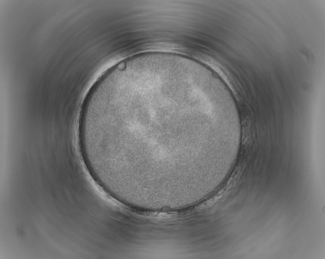 X0000110981139200907171726