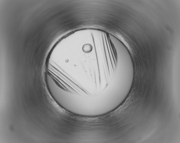 X0000110981140200907171726
