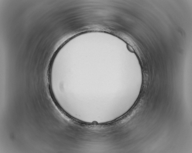 X0000110981141200907171726
