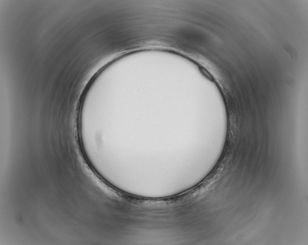 X0000110981142200907171726