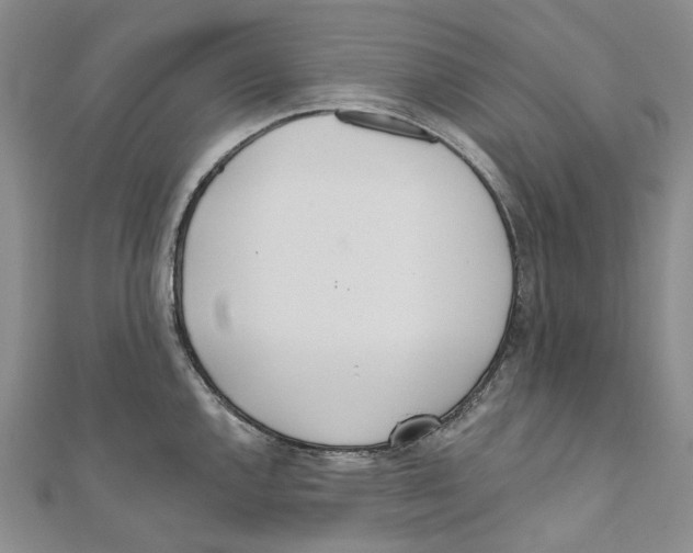 X0000110981144200907171726