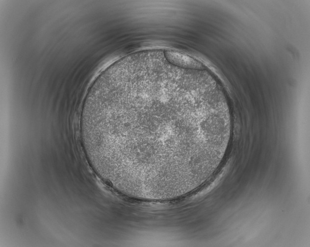 X0000110981145200907171726